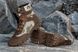 Тактичні черевики чоловічі койот піксель. Військове армійське взуття 40 розмір