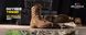 BELLEVILE берци летние американские Оригинал - Ботинки Khyber TR550 Hot weather multi-terrain boot Coyote brown 40-48 размеры(7-15)